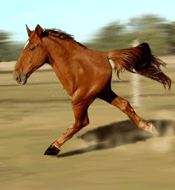 17689748.gif